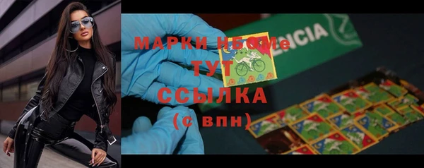 индика Абдулино