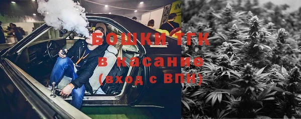 индика Абдулино