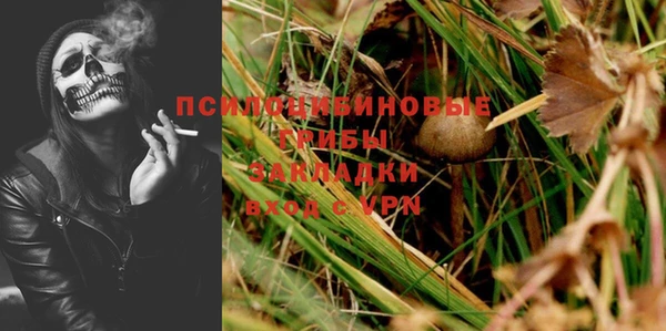эйфоретик Алзамай