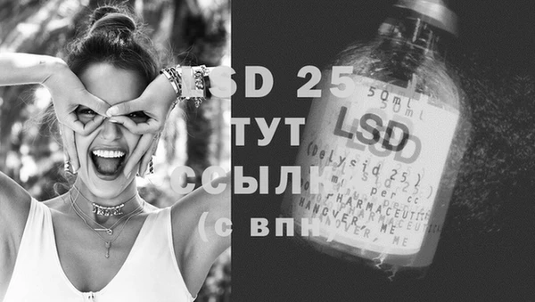 индика Абдулино